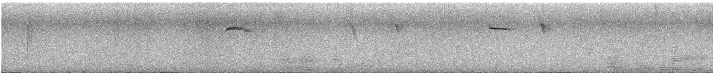 Western Spindalis (Cuban) - ML627487263