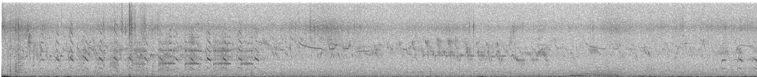moták tichomořský - ML627489209