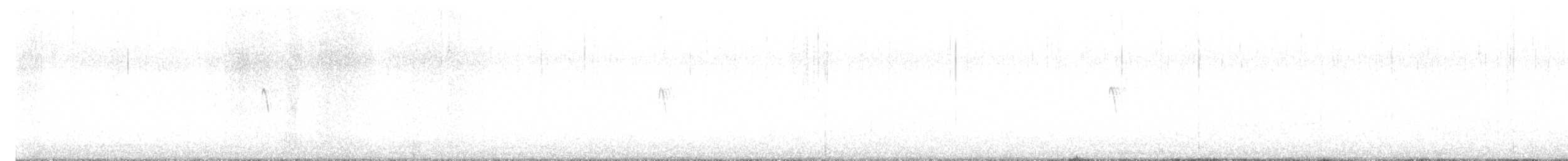 Black Phoebe - ML627490964