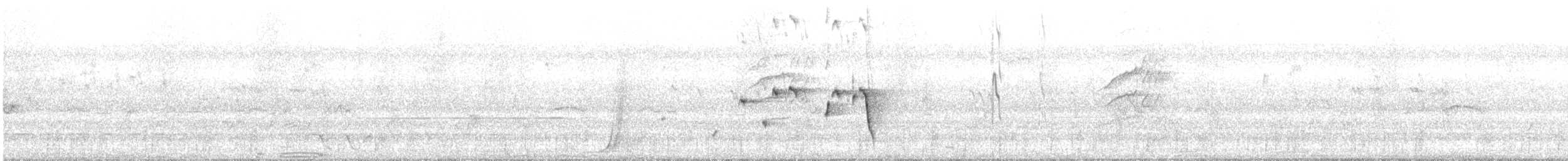 Willie-wagtail - ML627491359