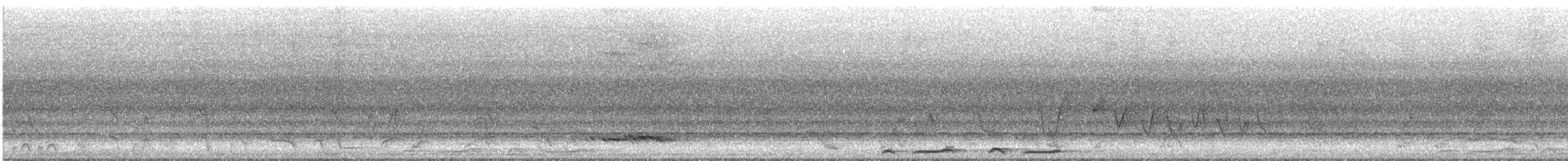 Bar-shouldered Dove - ML627491483