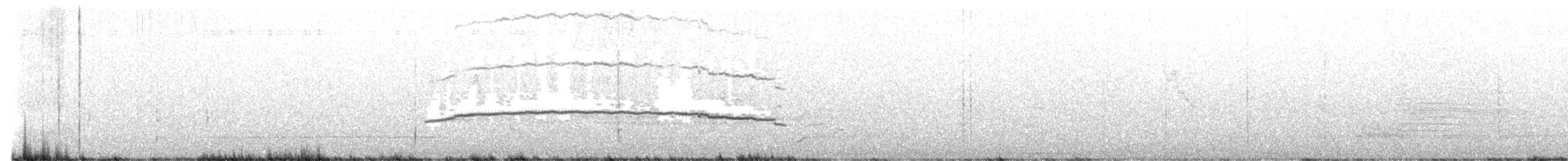 Laysan Albatross - ML627491539