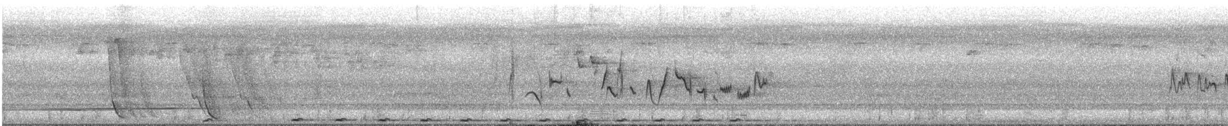 Silvereye - ML627491543