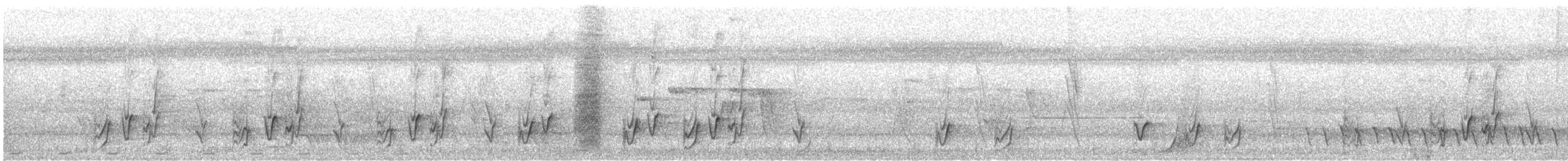 Sahul Cicadabird - ML627491604