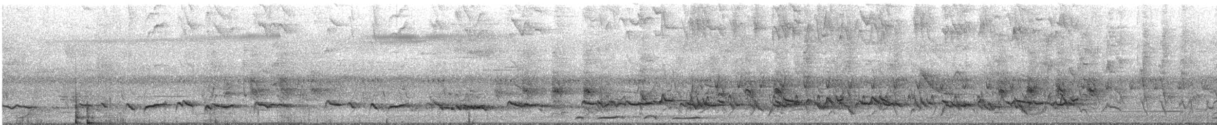 Striped Honeyeater - ML627491731