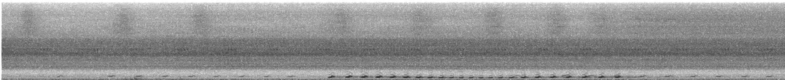 Pheasant Coucal (Pheasant) - ML627491805