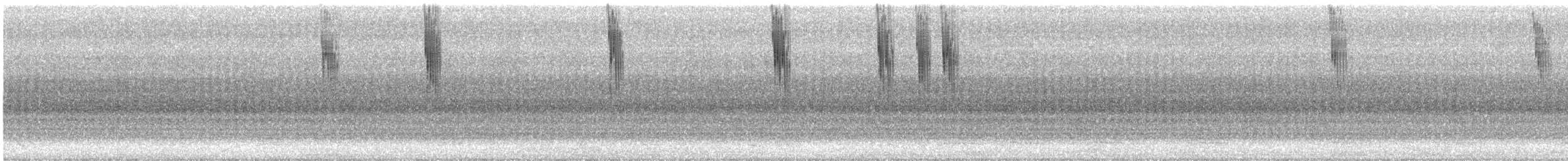 Red-backed Fairywren - ML627491826