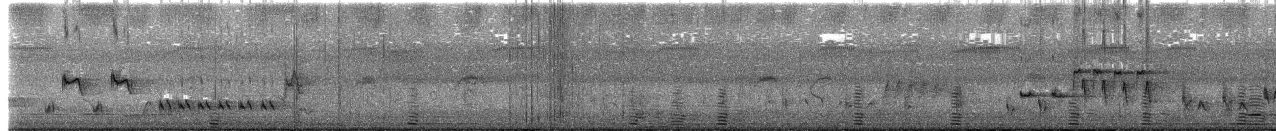 Magpie Goose - ML627492238