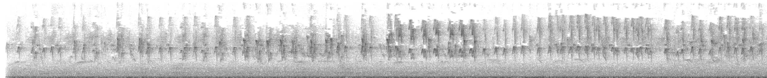 Capucin bec-de-plomb - ML627493181