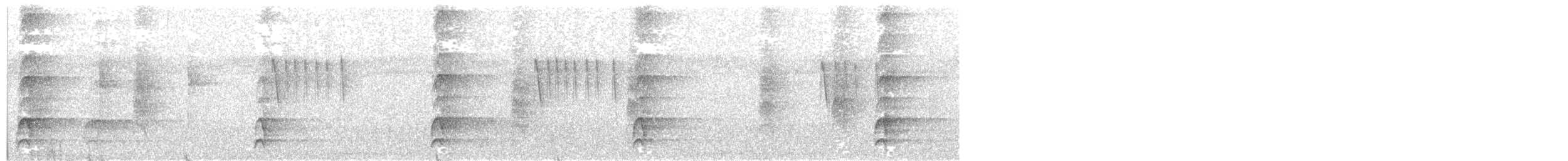 Laced Woodpecker - ML627494259