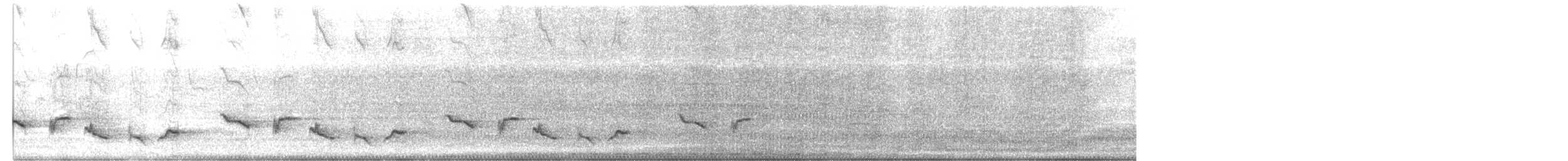 Yellow-tailed Oriole - ML627512103