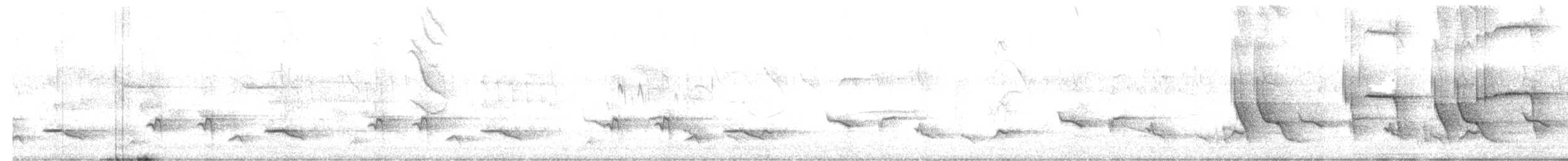 Yellow-tailed Oriole - ML627512104