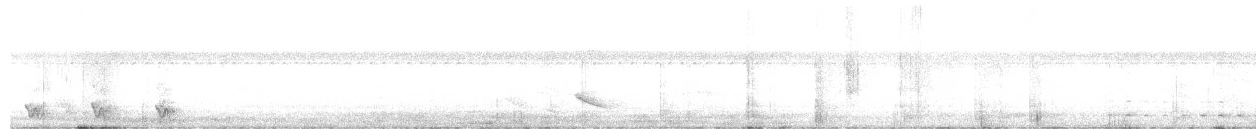 Peruvian Pygmy-Owl - ML627512139