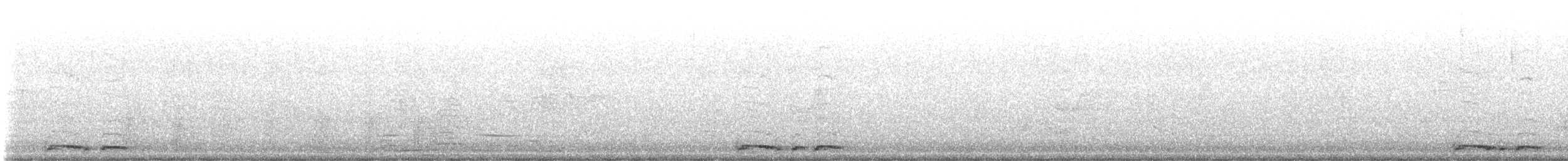 Zebra Dove - ML627513429