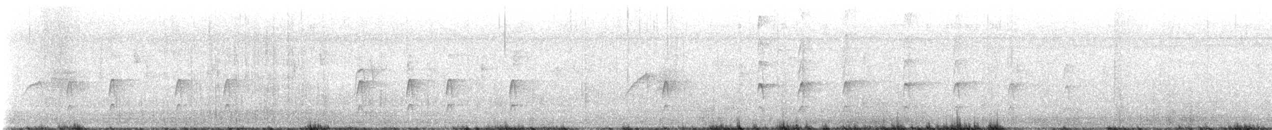 Couch's Kingbird - ML627521769