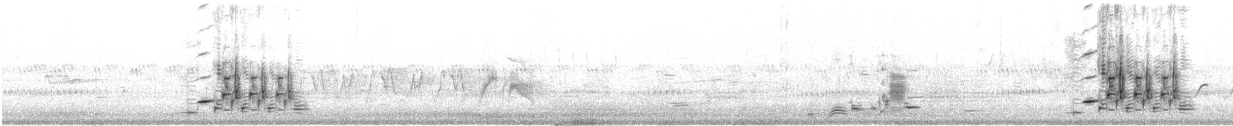 Red-winged Blackbird - ML627527379