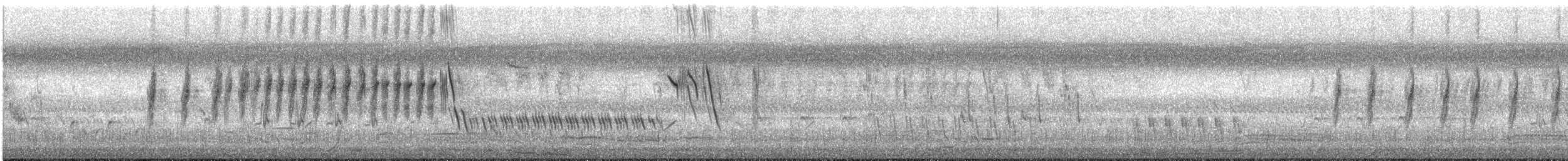 Golden-headed Cisticola - ML627536555