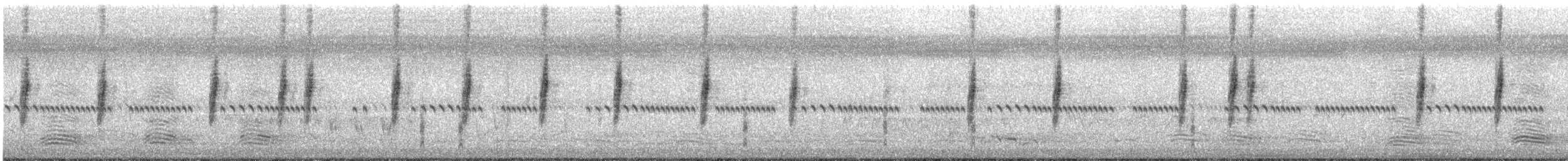 Tawny Grassbird - ML627536603