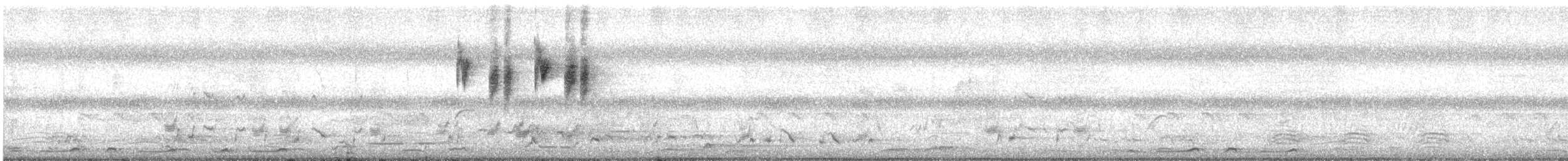 White-browed Scrubwren - ML627536798