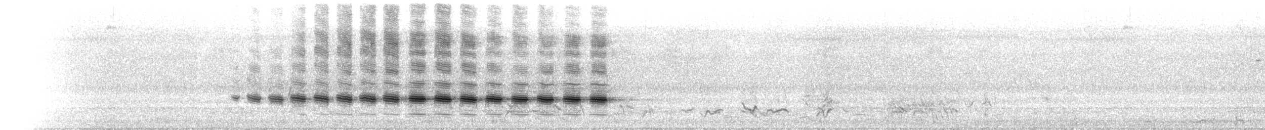 Sahul Cicadabird - ML627537593