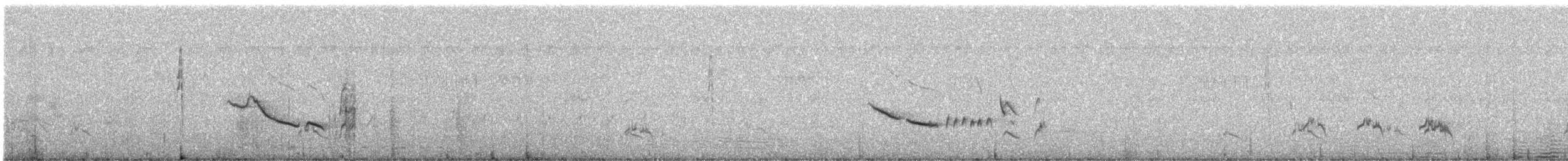Black Scrub-Robin - ML627539998