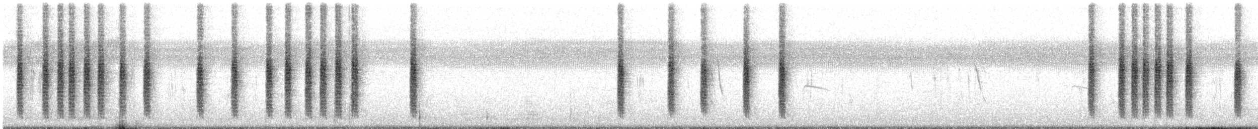 Широкохвістка китайська - ML627540537