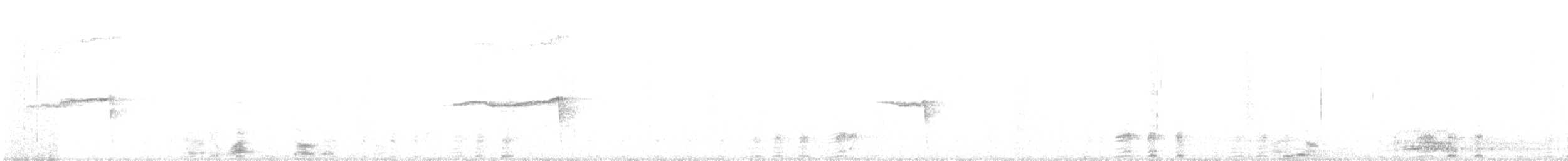 Лофур сріблястий - ML627541837