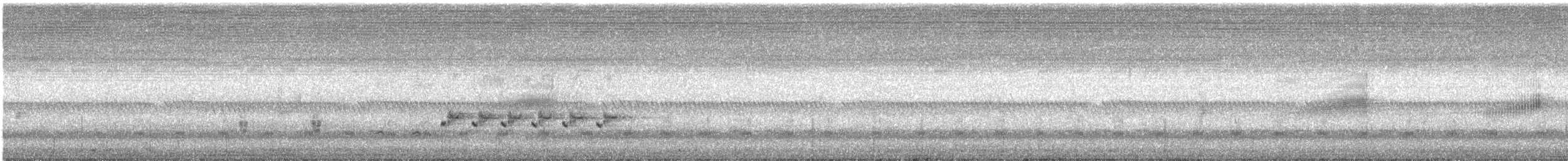Australian Reed Warbler - ML627543043