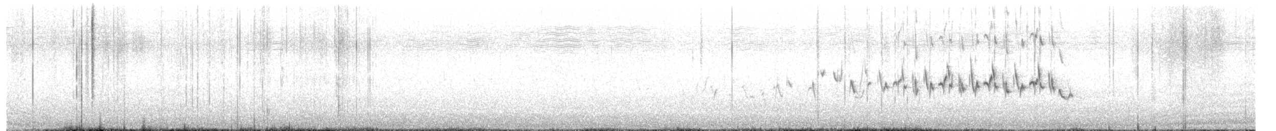 Cape Grassbird - ML627551733