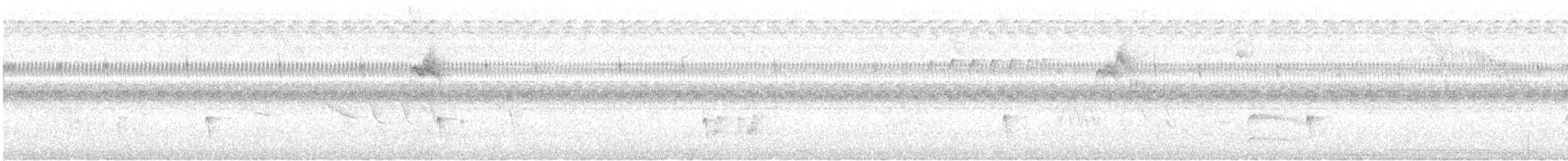 Variegated Flycatcher - ML627551891