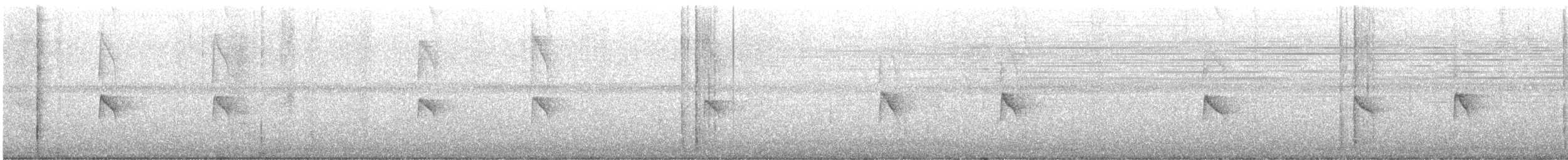 キバラメジロハエトリ - ML627573174