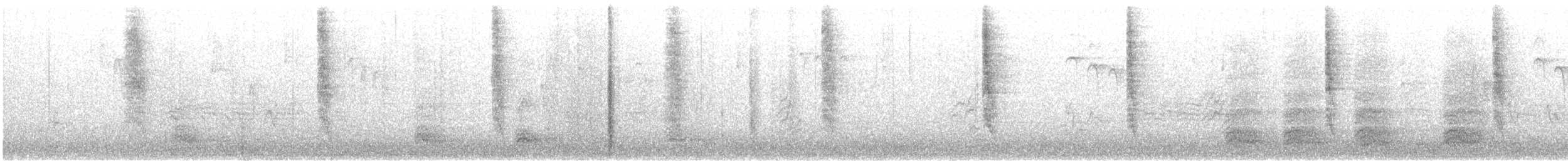 wren sp. - ML627574693