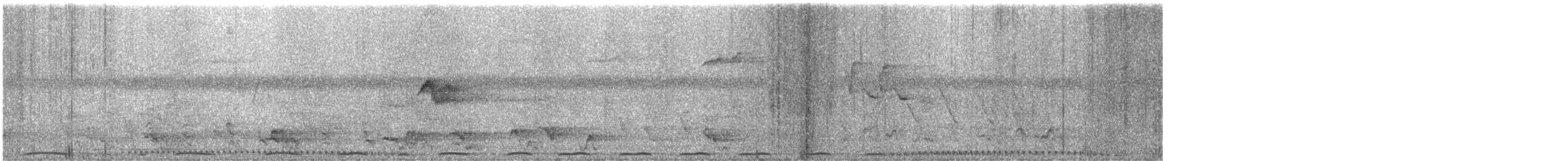 Carpophage pacifique - ML627577835
