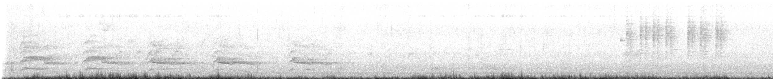 Red-shouldered Hawk - ML627594119