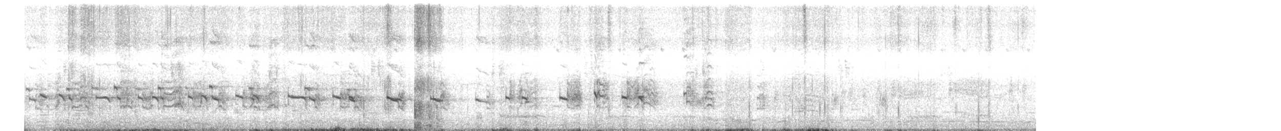 Râle à collier - ML627599508