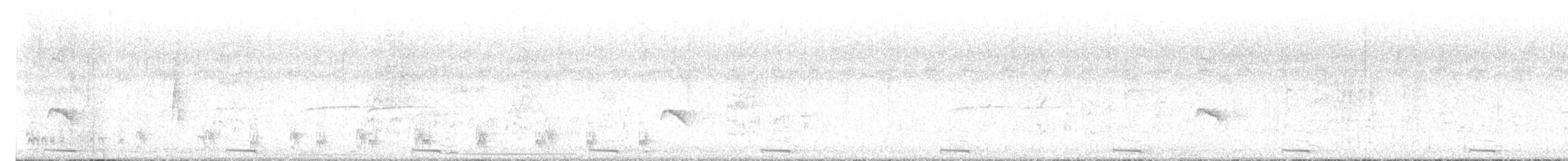 Pearly-breasted Cuckoo - ML627599868