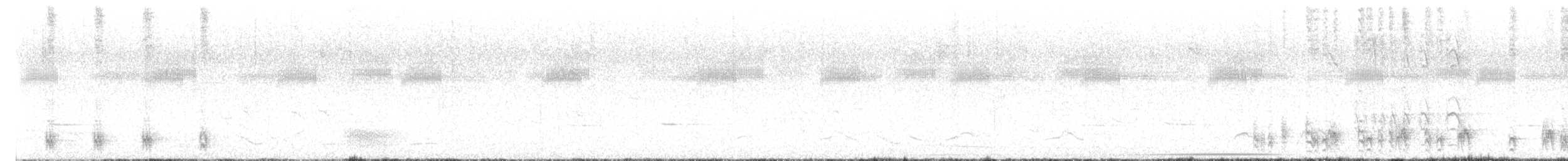 Bananal Antbird - ML627599913