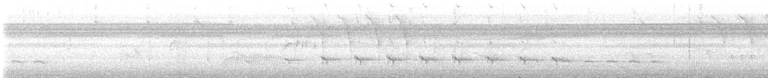 Stripe-chested Antwren - ML627602457