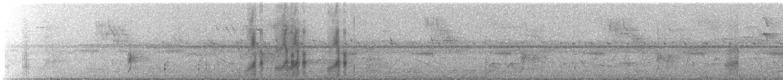 Black-tailed Tityra - ML627606348