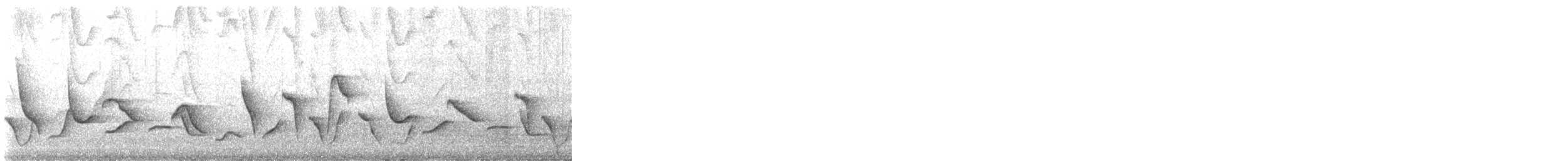 インカマユミソサザイ - ML627609597