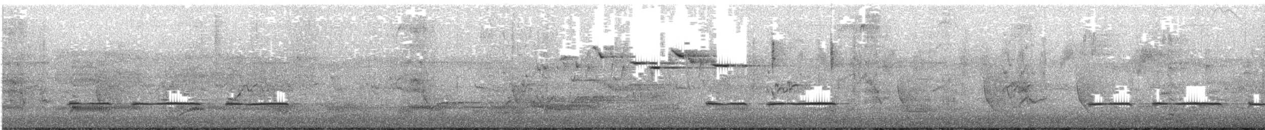 Little Grassbird - ML627610832