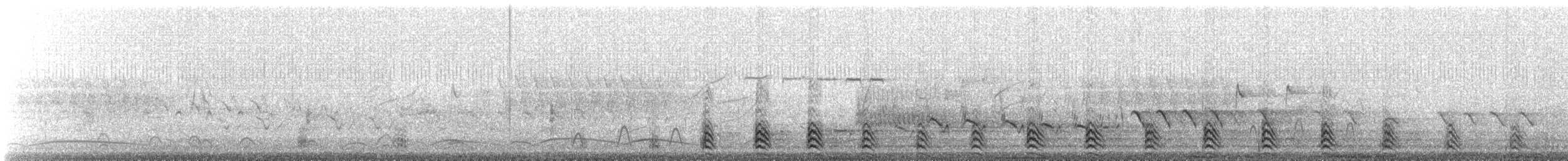 クビワキンクロ - ML627610834