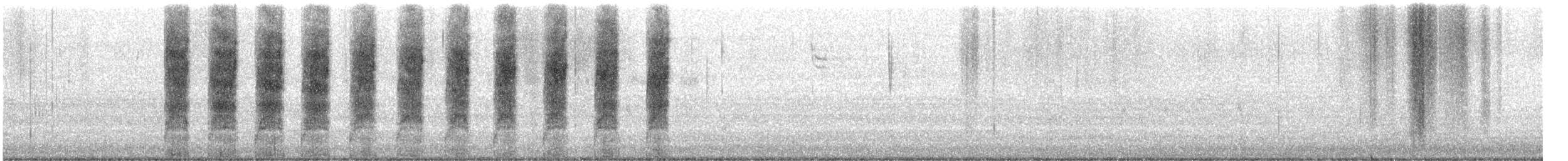 Orange-crowned Warbler (Gray-headed) - ML627613194