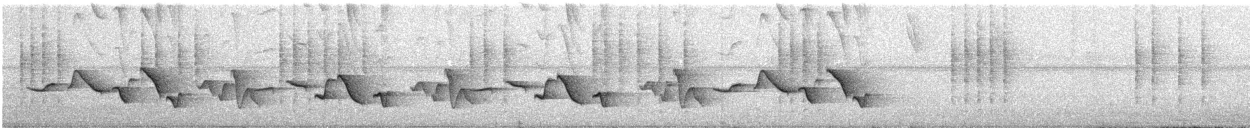 ムナフマユミソサザイ - ML627616129