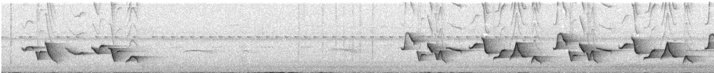 ムナフマユミソサザイ - ML627616134