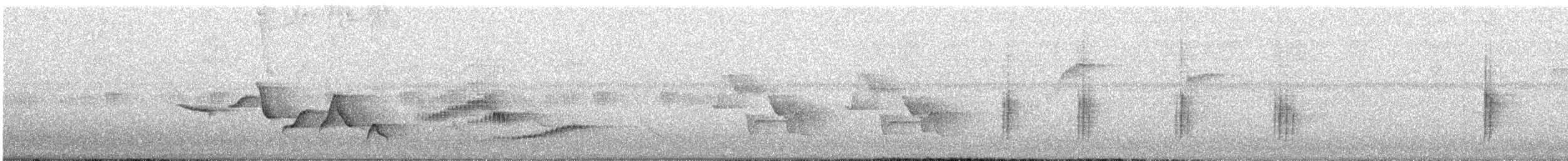 ムナフマユミソサザイ - ML627616135