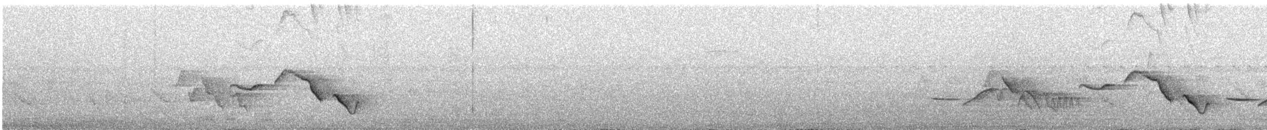 ムナフマユミソサザイ - ML627616136