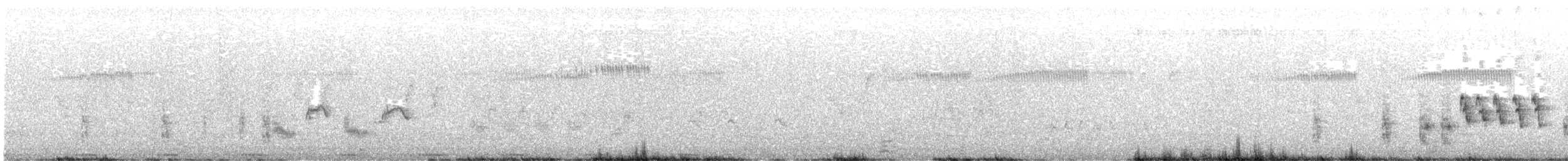 bukáček černohřbetý - ML627618510