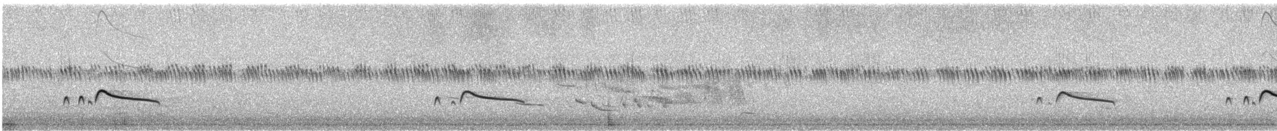 Say's Phoebe - ML627622037