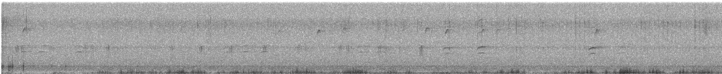 White-winged Crossbill - ML627626739